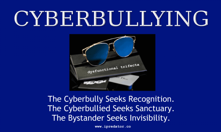 michael-nuccitelli-cyber-bullying-5