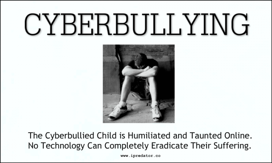 michael-nuccitelli-cyber-bullying-6