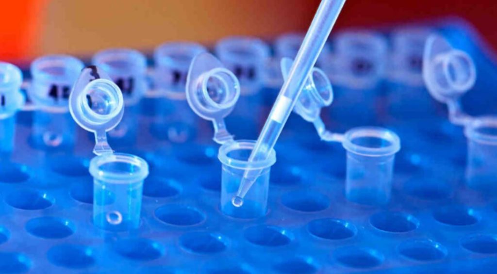 This image has an empty alt attribute; its file name is dna-collection-1024x565-1.jpg