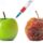 Why So Much Science is Wrong, False, Puffed, or Misleading